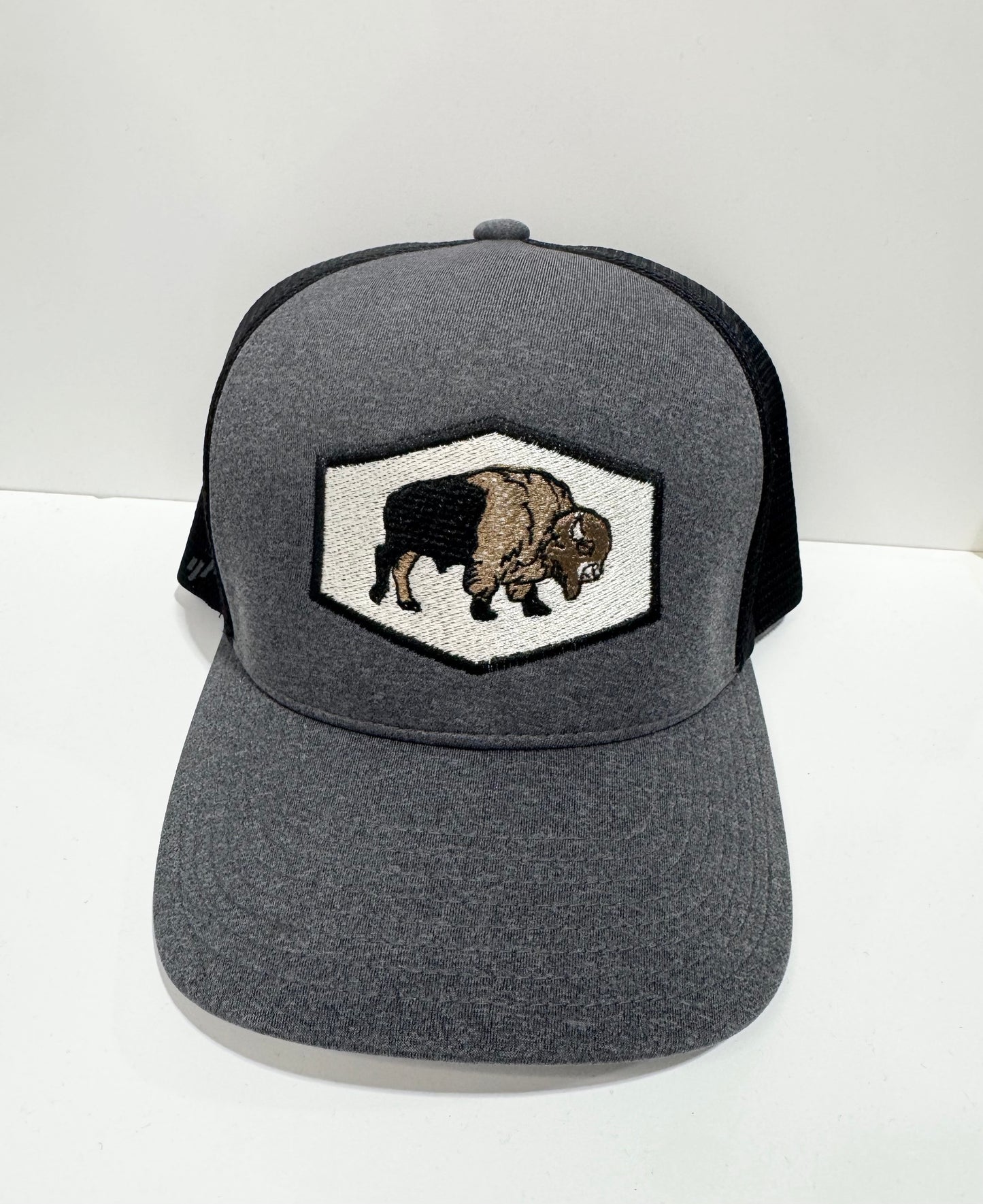 Embroidered Bison SnapBack Hat